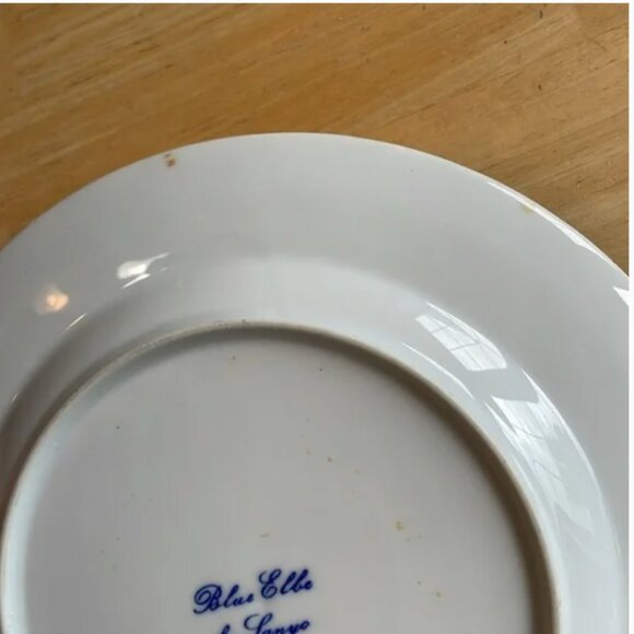 Blue Elbe By Sanyo Porcelain Plates Dinner Salad Bowl Blue Onion Floral Design - Picture 9 of 15